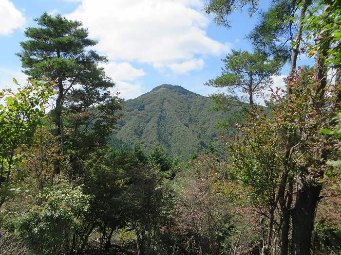 多可郡多可町加美区/千ヶ峰遠望写真