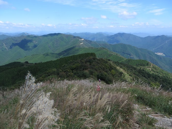 多可郡多可町加美区/千ヶ峰尾根写真