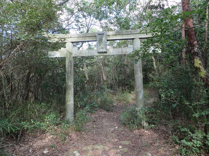 加東市上三草/三草山鳥居写真