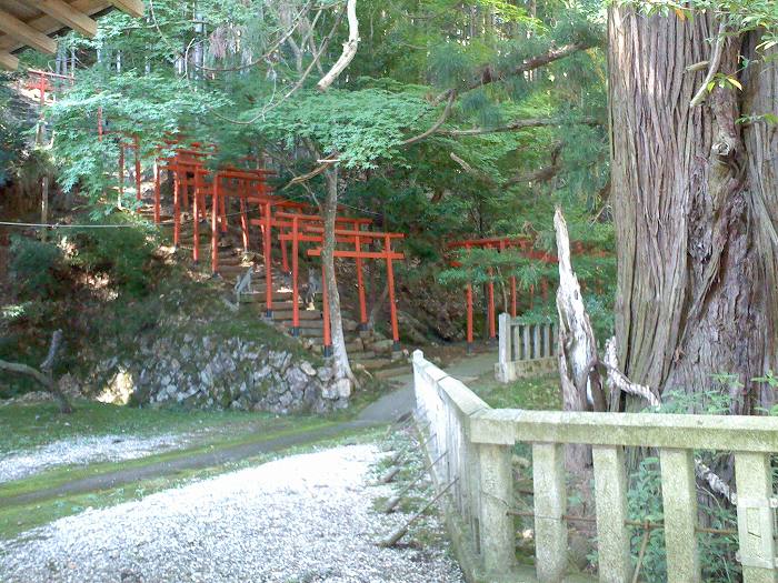 船井郡京丹波町須知/導観稲荷神社参道写真