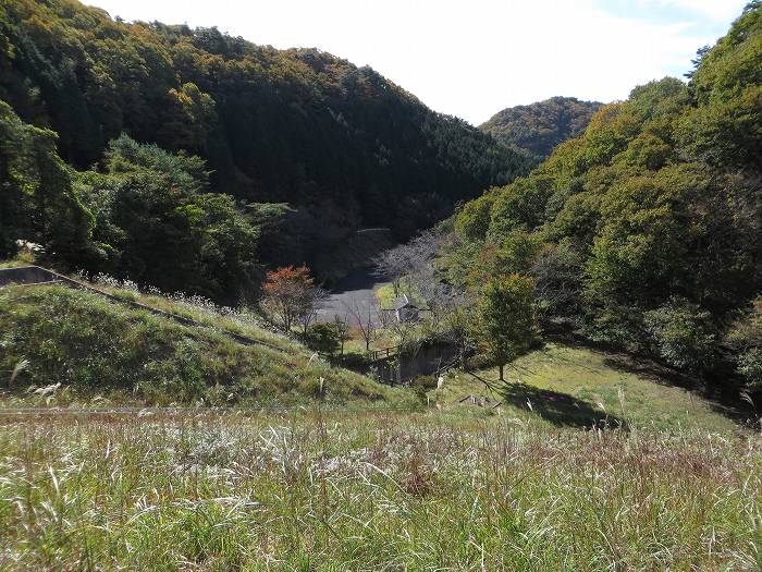 三田市母子/母子大池堰堤写真