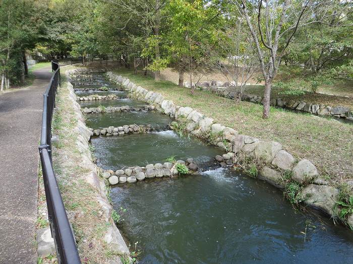 三田市加茂/青野ダム魚道水路写真