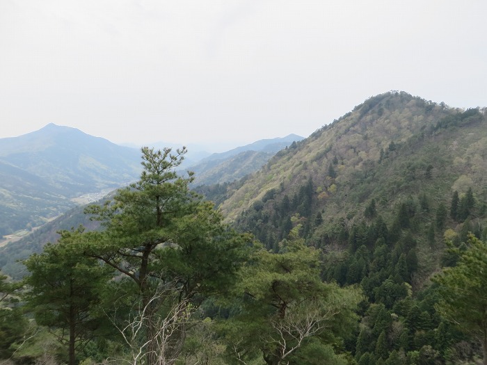 丹波市山南町谷川/高山・大呂坂写真