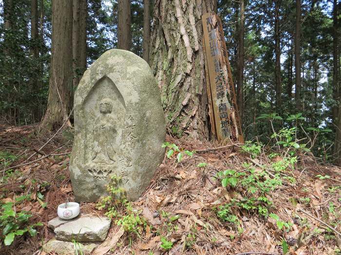 丹波市山南町谷川/高山・大呂坂写真