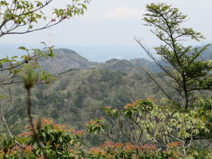 丹波市山南町阿草/消防山写真