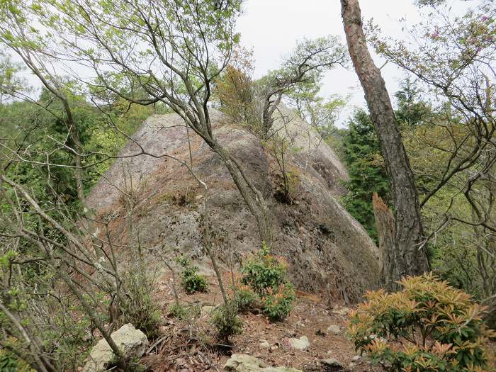 丹波市山南町阿草/消防山写真