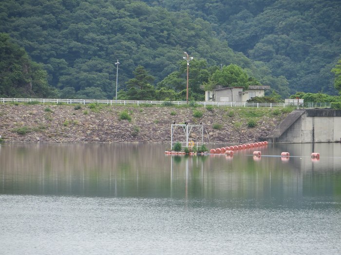 宝塚市玉瀬/川下川ダム写真