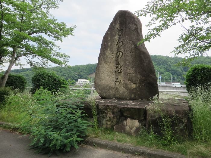 川西市一庫/一庫ダム写真