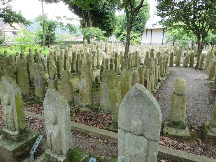 加西市北条町北条/北栄山羅漢寺写真