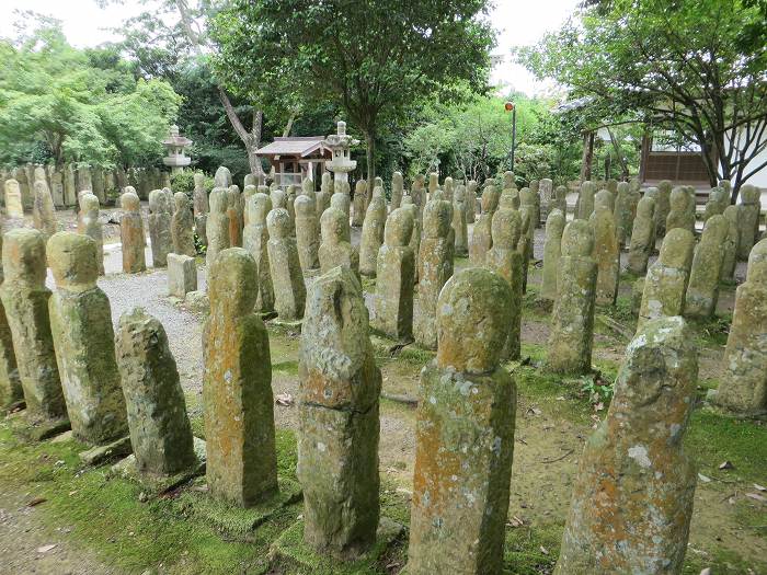 加西市北条町北条/北栄山羅漢寺写真