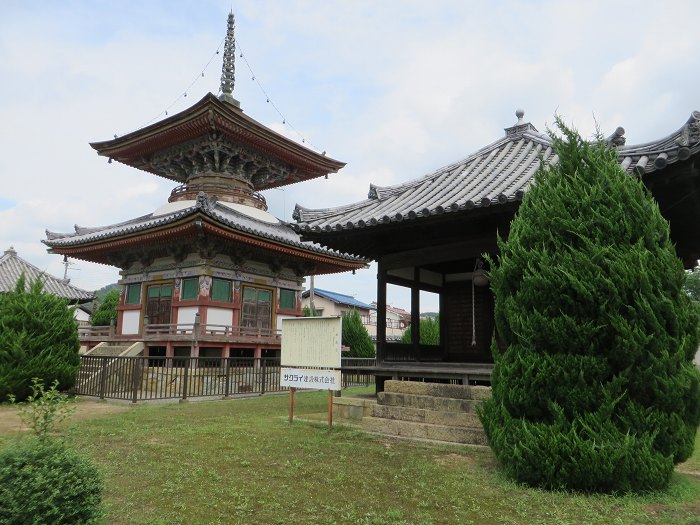 加西市北条町北条/泉生山酒見寺写真