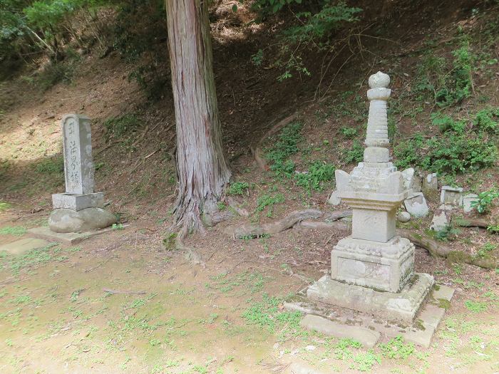 綾部市睦寄町/君尾山光明寺写真