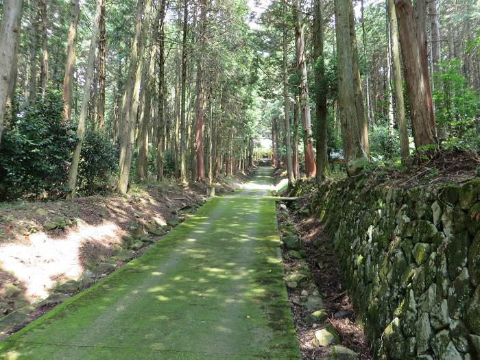 多可郡多可町/荒田神社写真