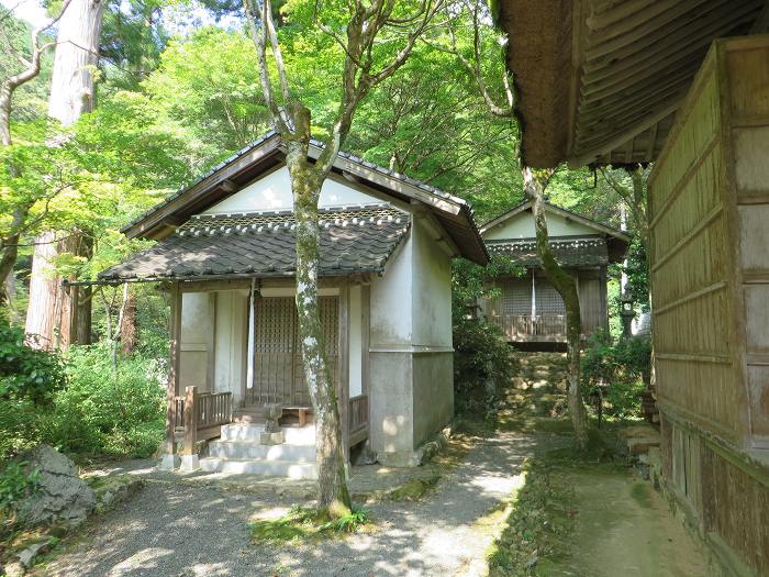 丹波市氷上町香良/不動山岩瀧寺・独鈷の滝写真