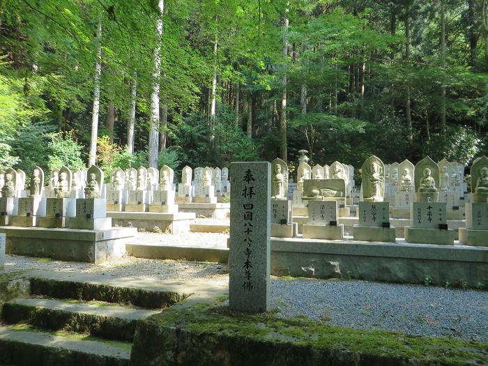 丹波市氷上町香良/不動山岩瀧寺・独鈷の滝写真