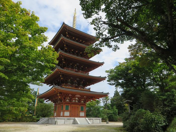 宮津市成相寺/成相山成相寺写真