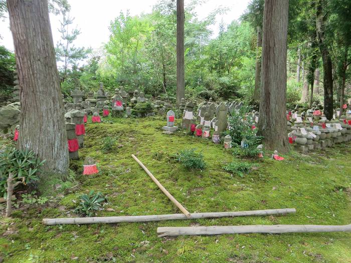 宮津市成相寺/成相山成相寺写真