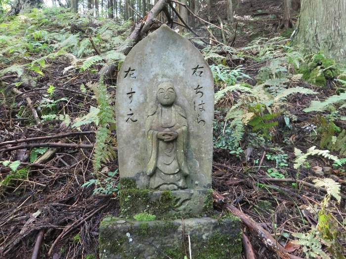 丹波市青垣町遠阪/千原峠写真