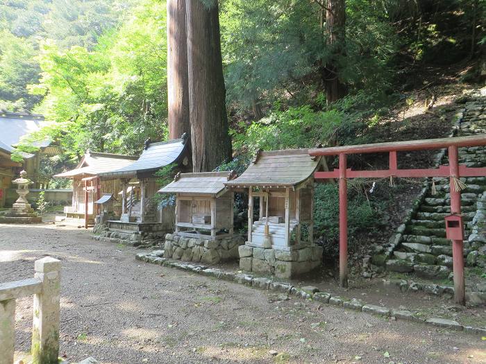 丹波市青垣町遠阪/熊野神社写真