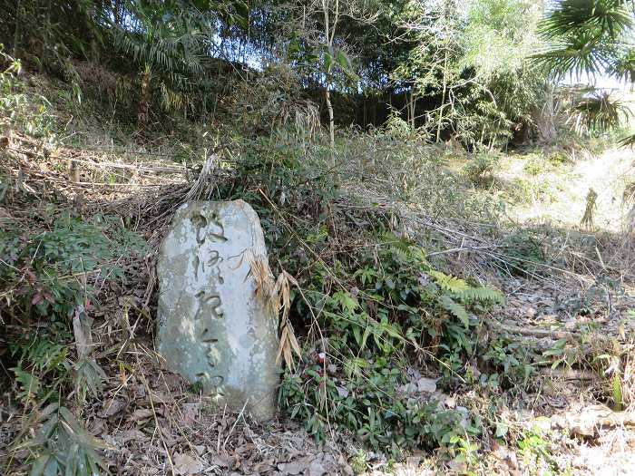 川辺郡猪名川町林田/くろまんぷ・あかまんぷ跡写真