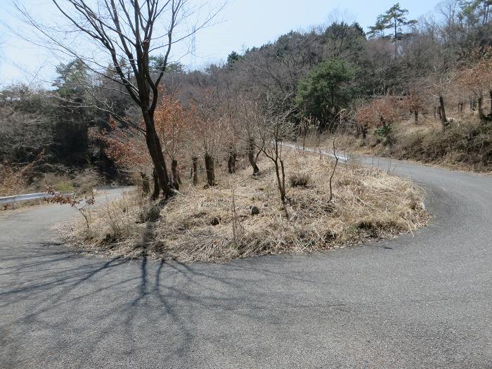 豊能郡能勢町山辺/はらがたわ峠写真