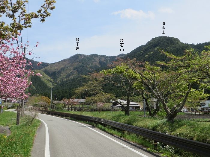 丹波市氷上町/向山連山写真