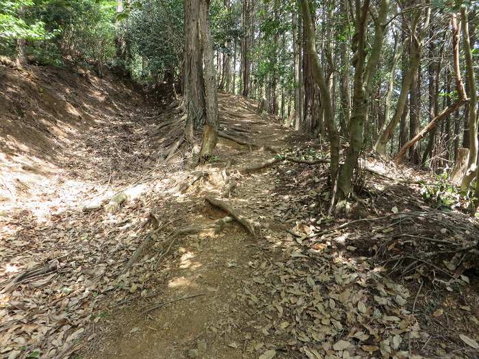 丹波市氷上町/向山連山写真