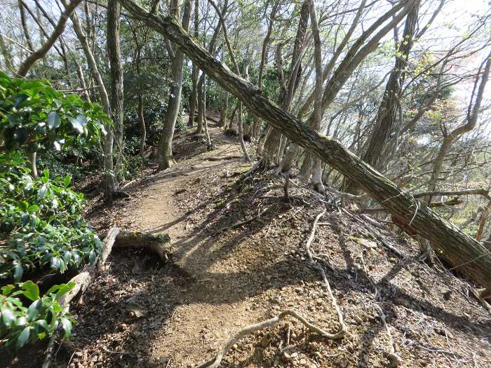 丹波市氷上町/向山連山写真