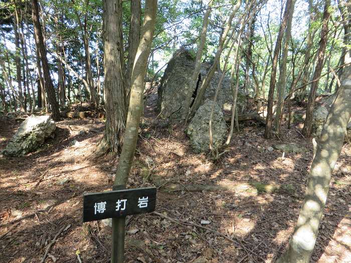 丹波市氷上町/向山連山写真