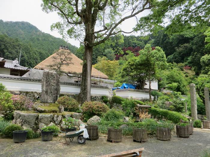 丹波市氷上町清住/十九山達身寺写真