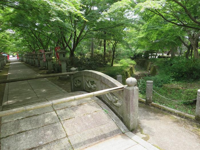 丹波市氷上町常楽/弘浪山高山寺写真