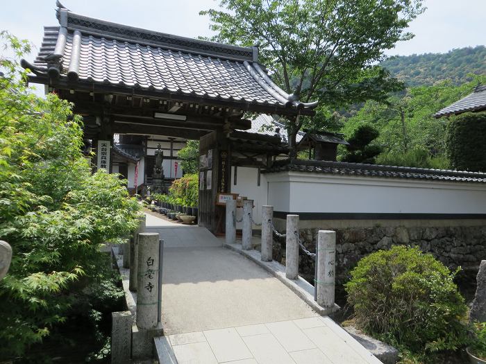 丹波市市島町白毫寺/五大山白毫寺写真