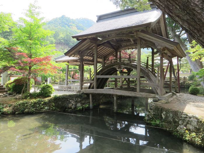 丹波市市島町白毫寺/五大山白毫寺写真