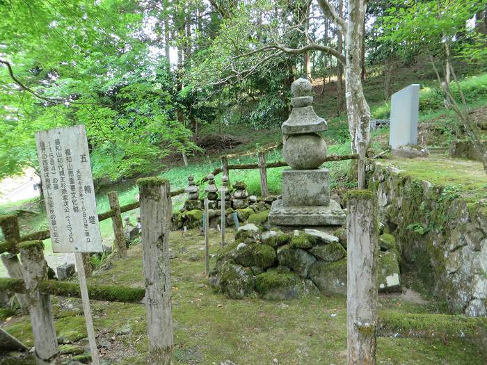 福知山市奥野部/医王山長安寺写真