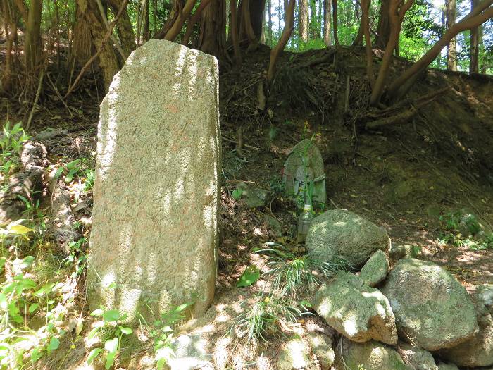 豊能郡能勢町長谷/才ノ神峠写真