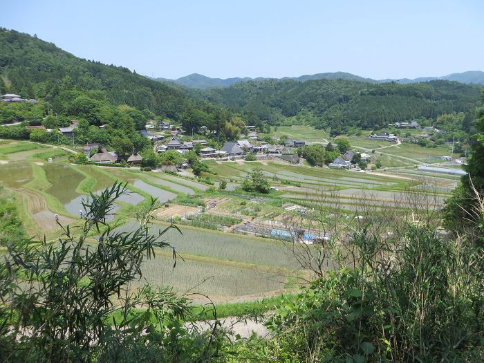 豊能郡能勢町長谷/長谷の棚田写真