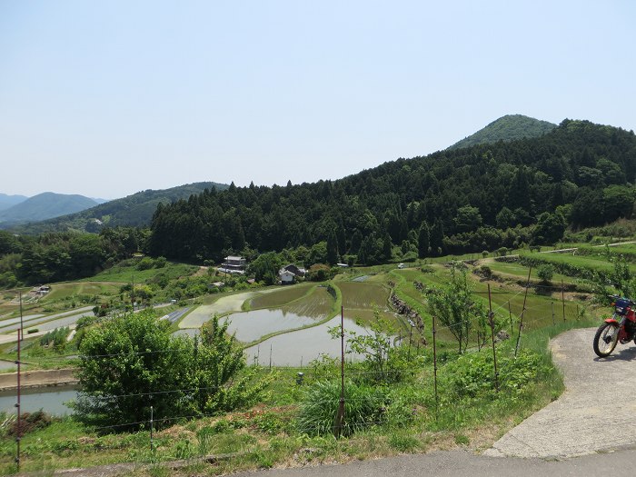 豊能郡能勢町長谷/長谷の棚田写真