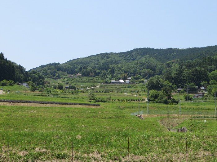 豊能郡能勢町長谷/長谷の棚田写真