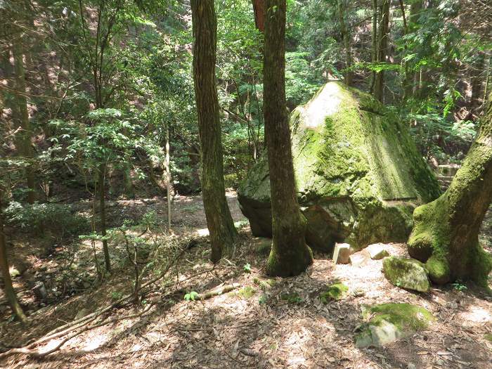 豊能郡能勢町野間中/野間峠写真