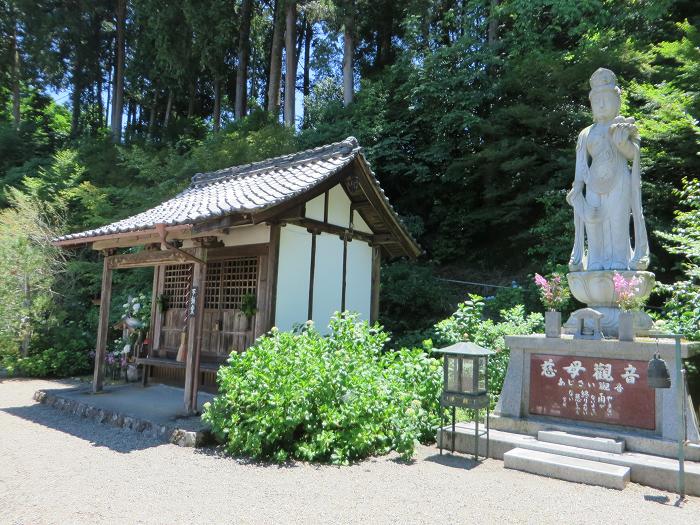 福知山市観音寺/補陀洛山観音寺写真