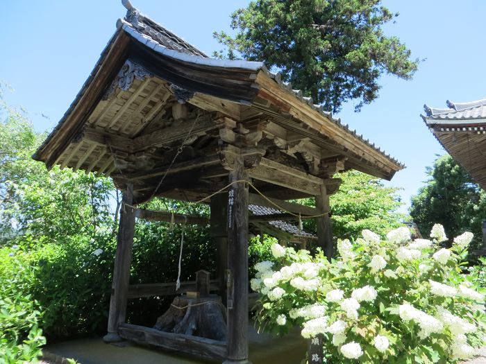 福知山市観音寺/補陀洛山観音寺写真