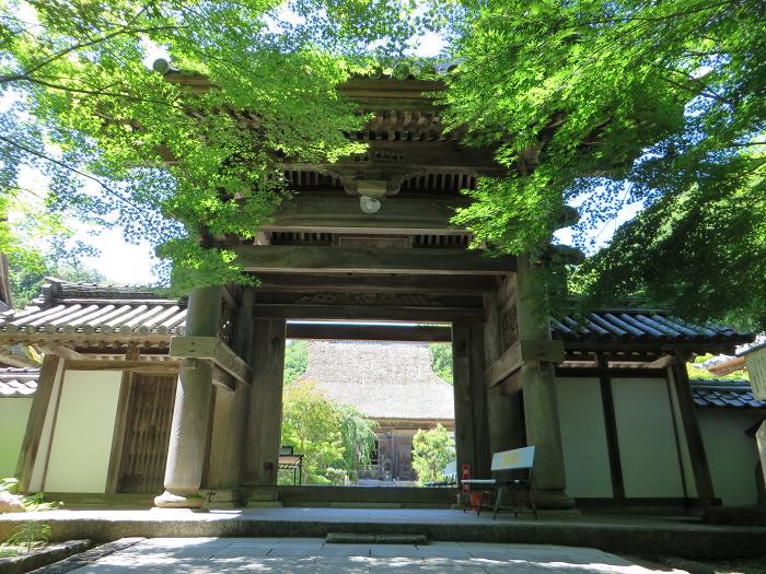 綾部市安国寺町寺ノ段/景徳山安国寺写真