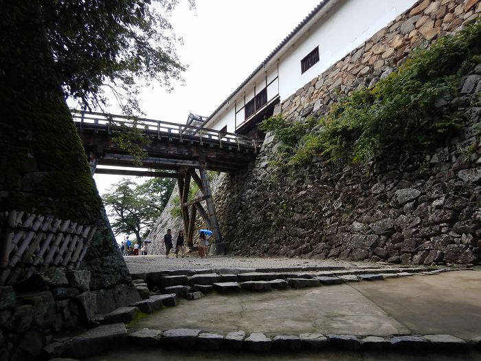 彦根市金亀町/彦根城跡写真