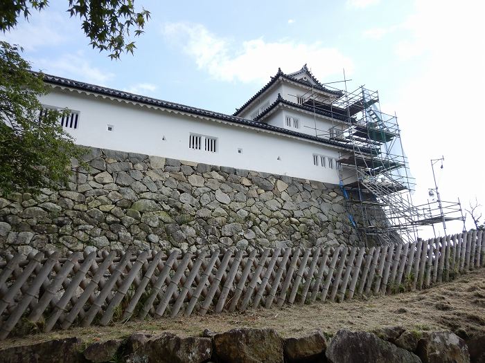 彦根市金亀町/彦根城跡写真