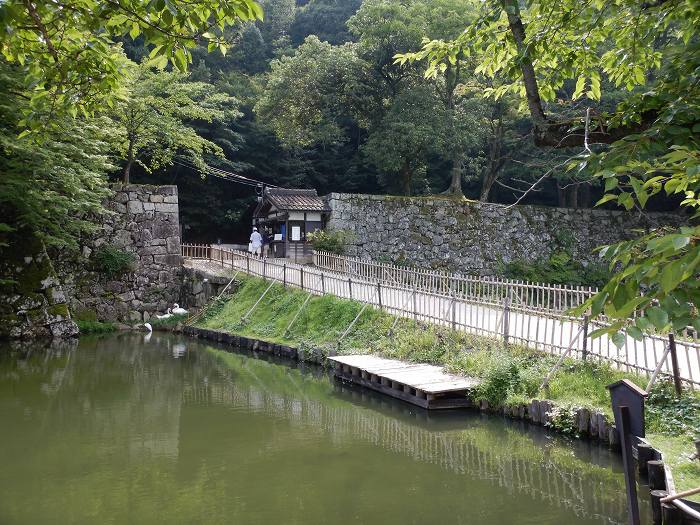 彦根市金亀町/彦根城跡写真