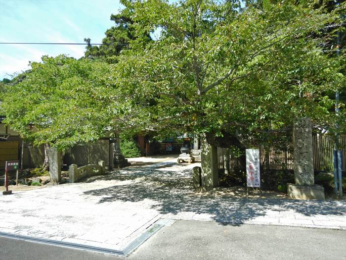 加西市坂本町/法華山一乗寺写真