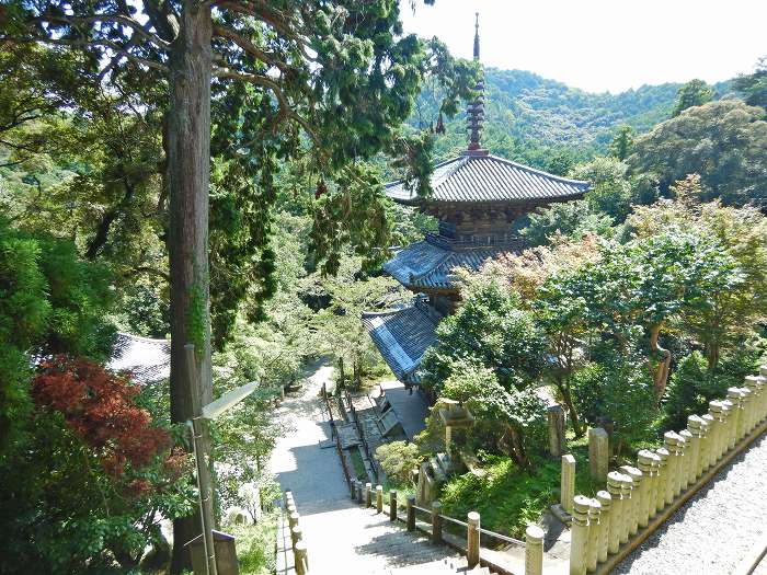 加西市坂本町/法華山一乗寺写真