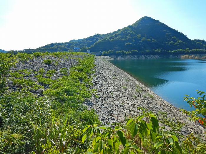 姫路市山田町南山田/神谷ダム写真