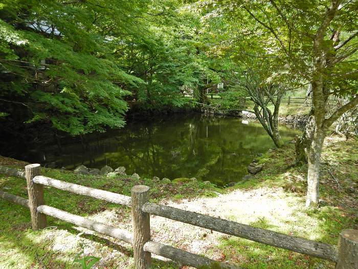 丹波市市島町多利/妙高山神池寺写真