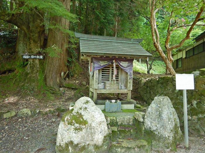 丹波市市島町多利/妙高山神池寺写真